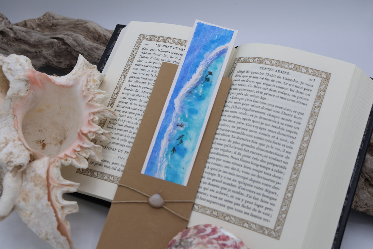 Barrière de Corail raies et requins