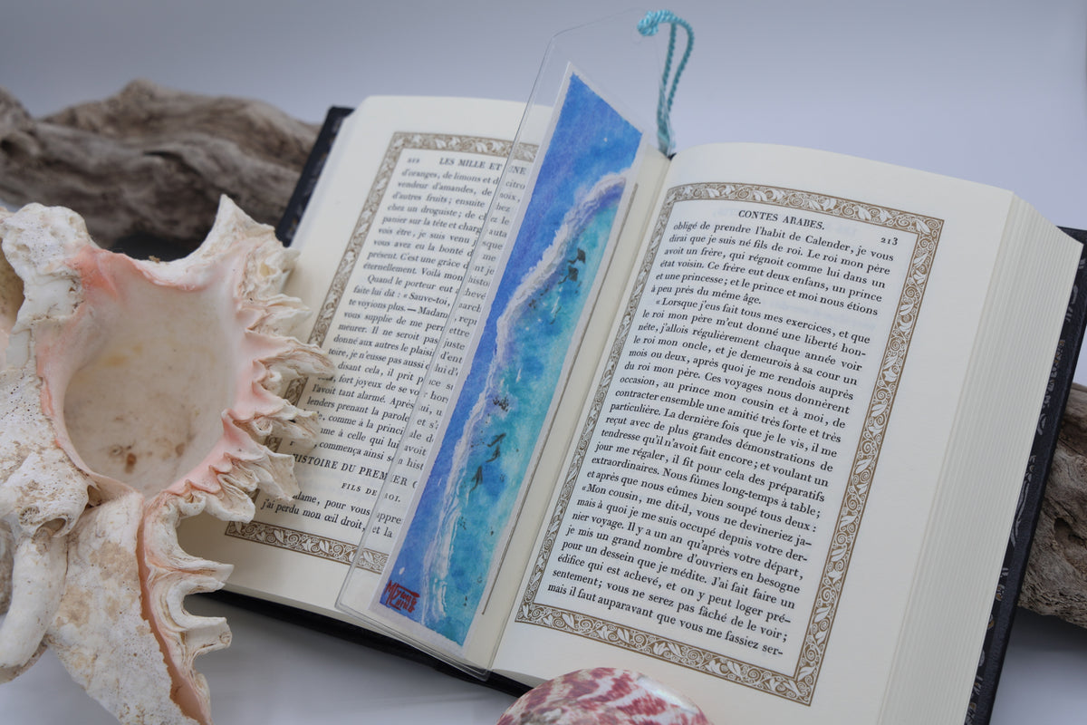 Barrière de Corail raies et requins