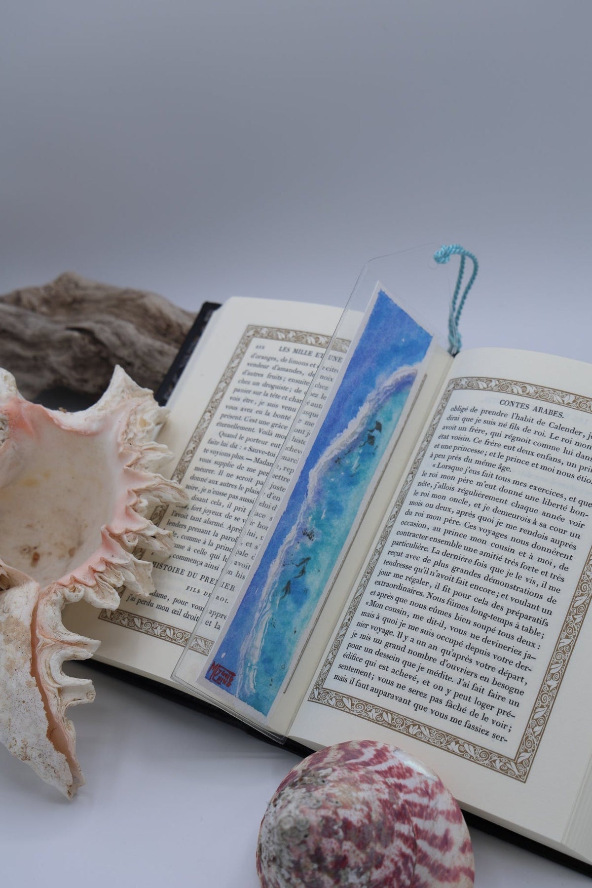 Barrière de Corail raies et requins