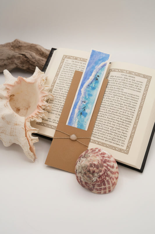 Barrière de Corail raies et requins